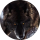 Der Tipster kasvik
