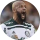 Der Tipster AGORAVAI