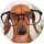 Der Tipster betmadrid18