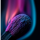 Der Tipster Vikta_Hunter