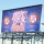 Der Tipster -GAS-