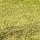 Der Tipster ALLinbet