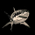 Der Tipster xewe