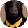 Der Tipster otedolawiththemoney