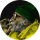 Der Tipster djtonnietouch7