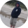 Der Tipster Adam Dyzma