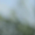 Der Tipster ozoemenachidera78