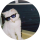 Der Tipster rickotipster