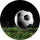 Der Tipster newrosede