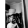 Der Tipster Itz_Dxn