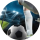 Der Tipster ROI_FC