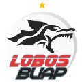 CF Lobos B.u.a.p.